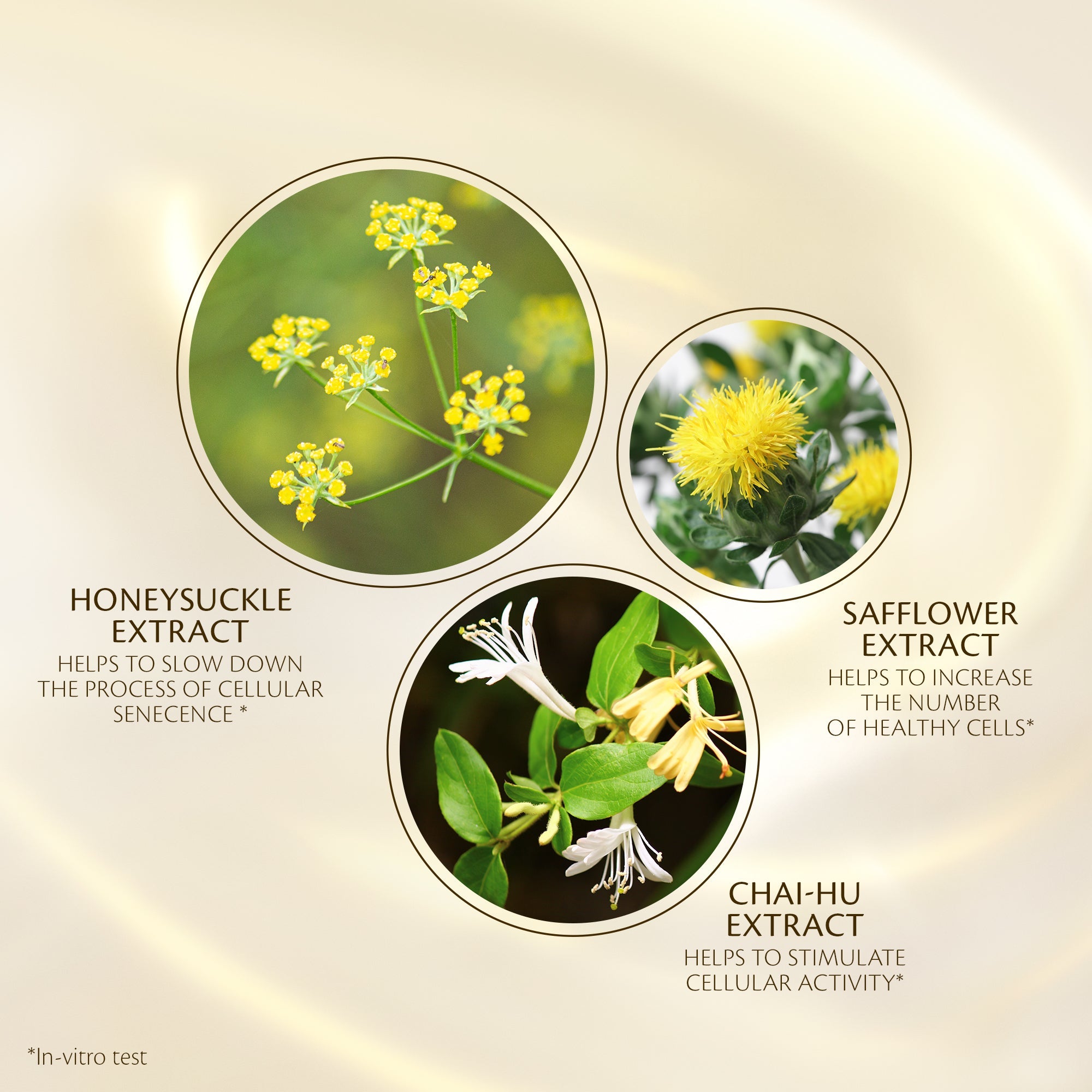 s/files/1/0911/6739/2086/files/10120588101_5.jpg?v=1772623659