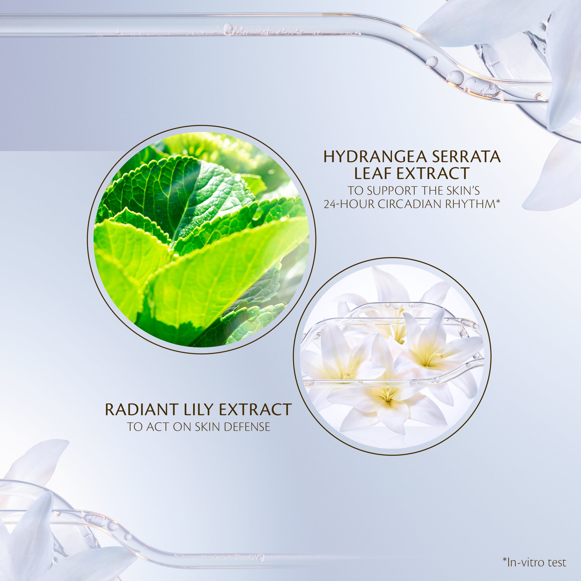Protective Day Emulsion | Cream & moisturizer | Clé de Peau Beauté